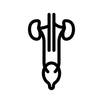 Gynae